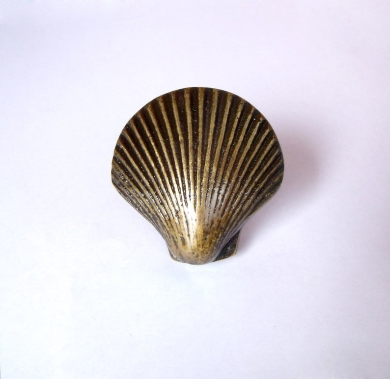 May include: A brass seashell-shaped cabinet knob with a detailed, ribbed texture.