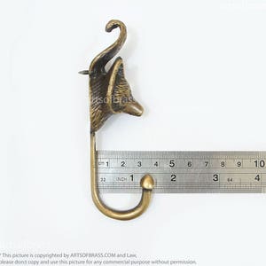 May include: Brass fox head wall hook with a 2 inch hook. The hook is measured with a ruler.