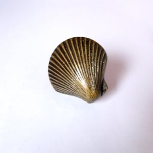 May include: A brass seashell-shaped cabinet knob with a detailed design.