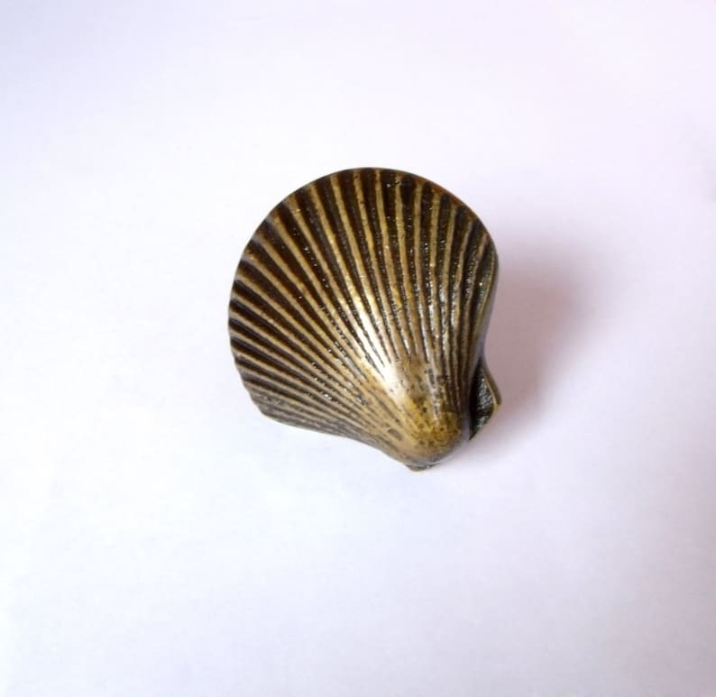 May include: A brass seashell-shaped cabinet knob with a detailed design.