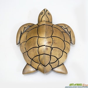 Könnte beinhalten: Ein Paar Türgriffe aus Messing in Form einer Schildkröte. Die Griffe sind mit einer strukturierten Schale verziert und haben einen Vintage-Look.