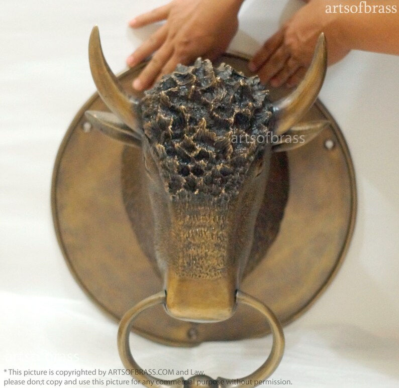 May include: A brass door knocker shaped like a bull's head with a ring handle. The bull's head is detailed with textured fur and a realistic expression.