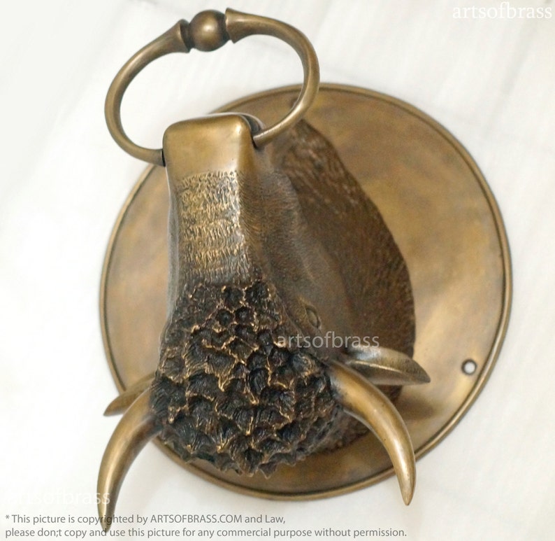 May include: A bronze bull's head wall mount with a ring handle. The bull's head is detailed with textured horns and a textured face. The bull's head is mounted on a round bronze plate.