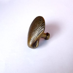 May include: A brass cabinet knob shaped like a seashell with a textured surface.