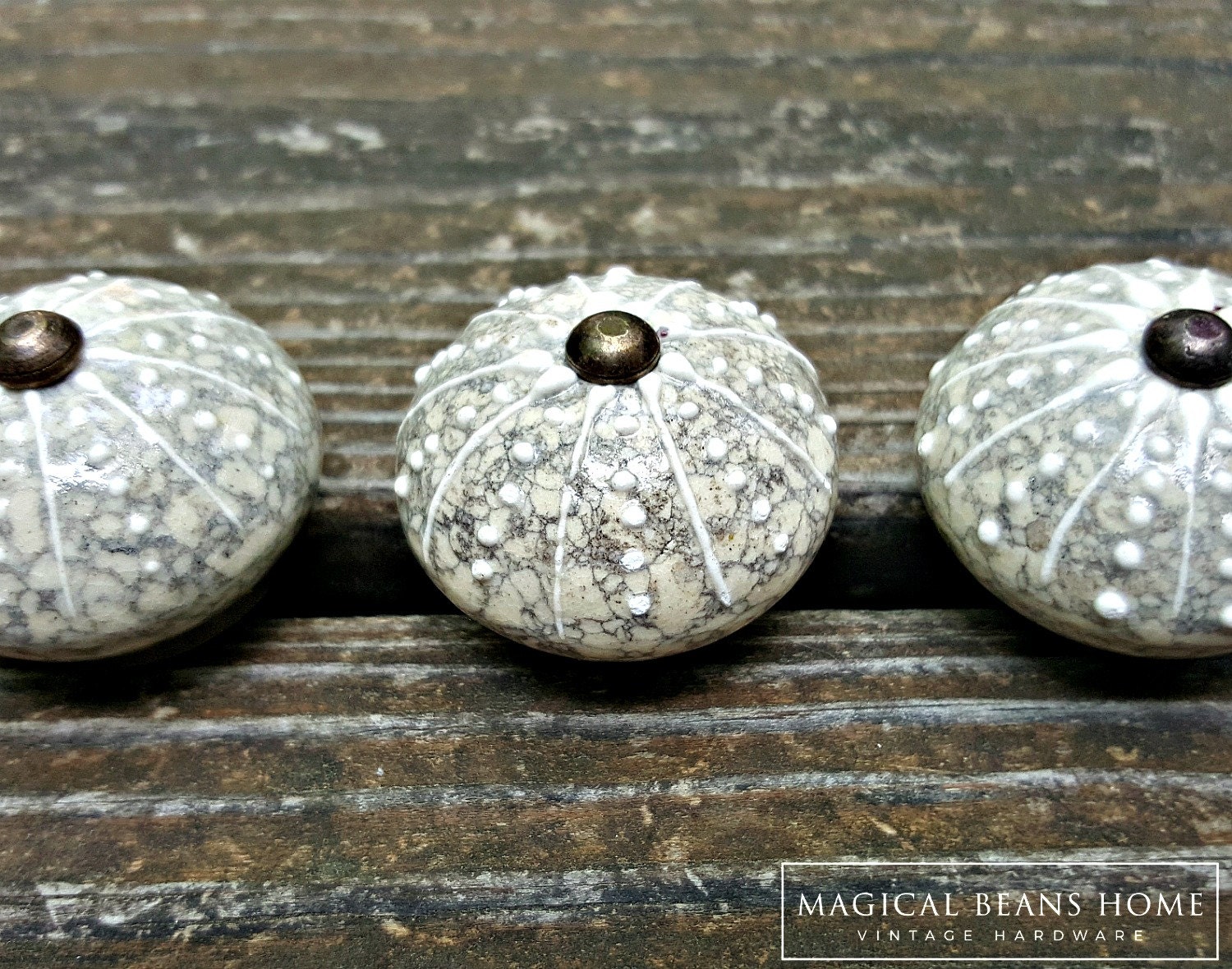 Ceramic Drawer Knobs Nautical Knobs Coastal Etsy