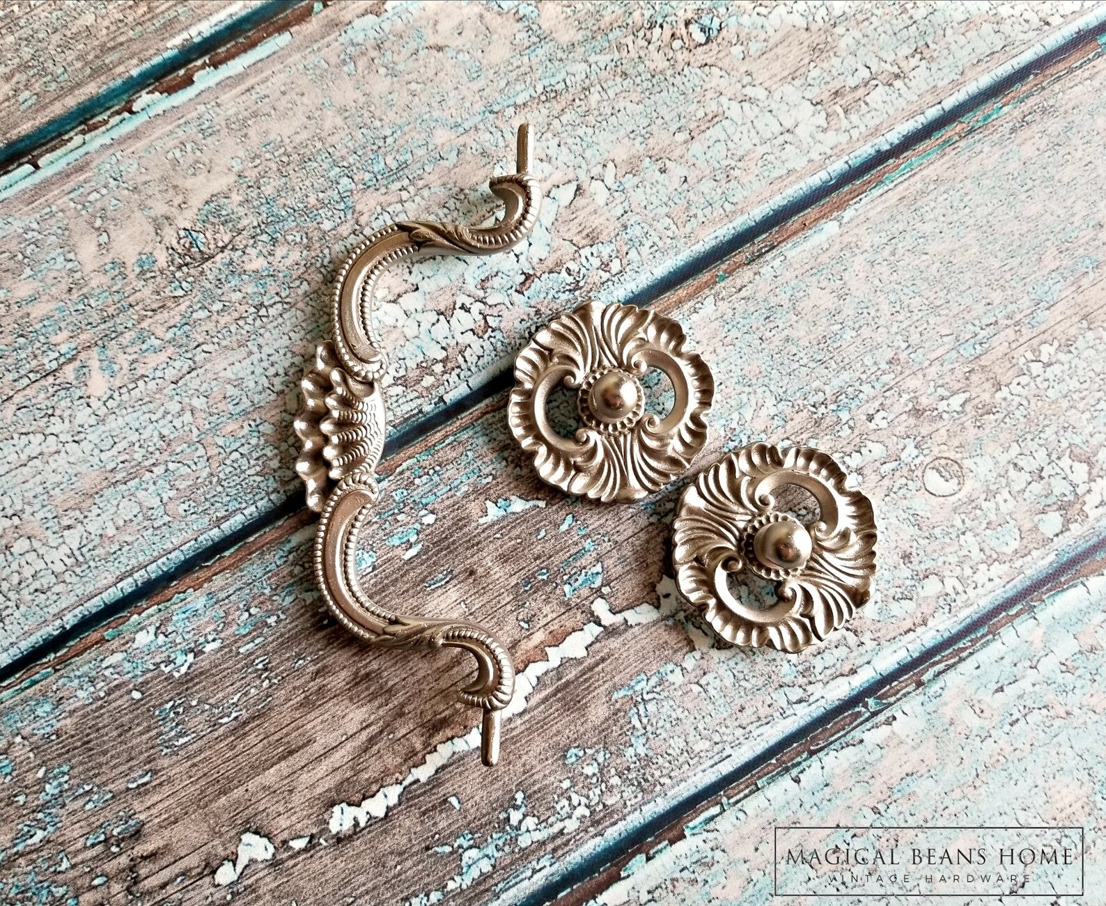 Clam Shell Drawer Pull KBC Coastal Cottage Bail Pull Silver Etsy