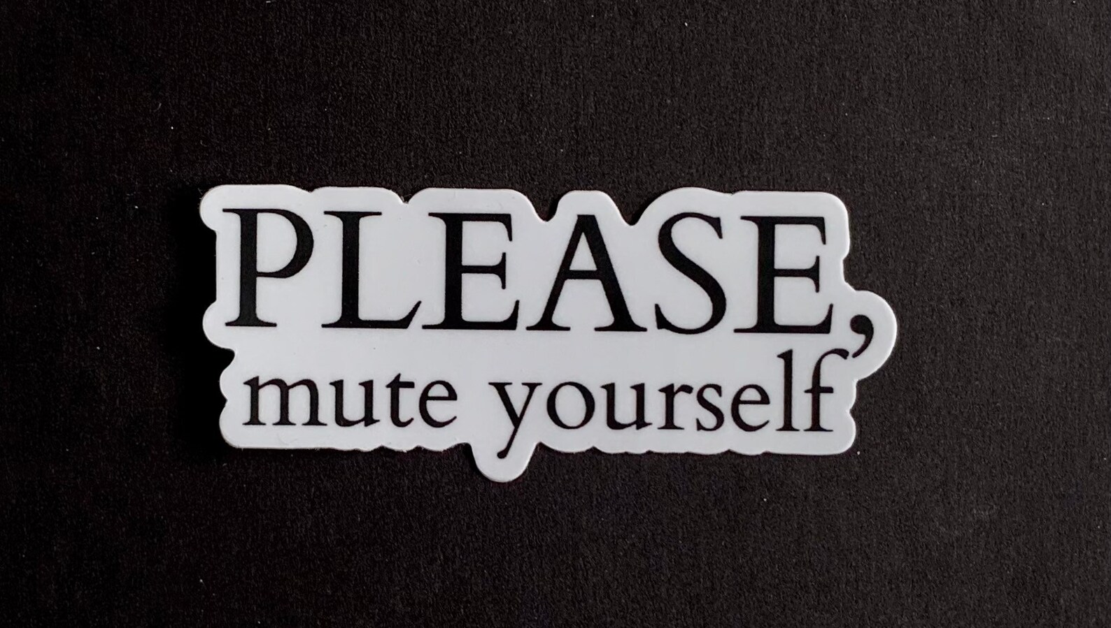 Please Mute Yourself Vinyl Sticker, Funny Laptop Sticker, Funny Office