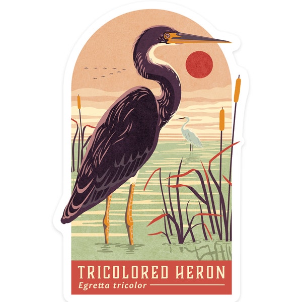 Sticker, Shorebirds at Sunset Collection, Tricolored Heron, Bird, Contour, Vinyl Die Cut Decal, Waterproof Outdoor Use