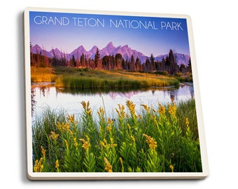 Coaster Set, Grand Teton National Park, Wyoming, Flowers, Lantern Press, Cork Back, Absorbent Ceramic, Unique Matching Art