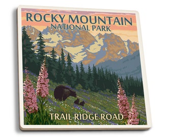 Coaster Set, Rocky Mountain National Park, Colorado, Trail Ridge Rd, Bear & Spring Flowers, Cork Back, Absorbent Ceramic, Unique Art