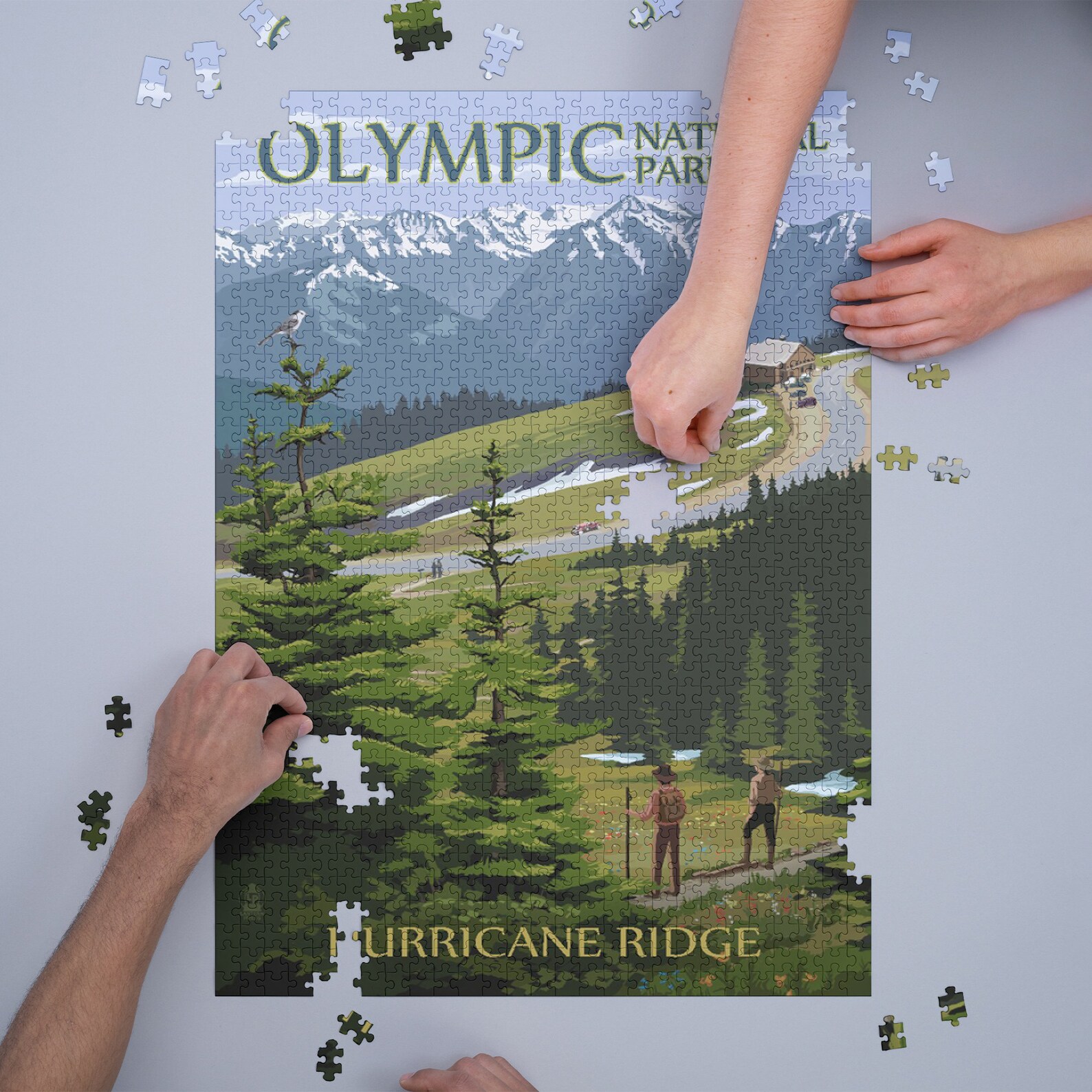 Jigsaw Puzzle Olympic National Park Washington Hurricane | Etsy