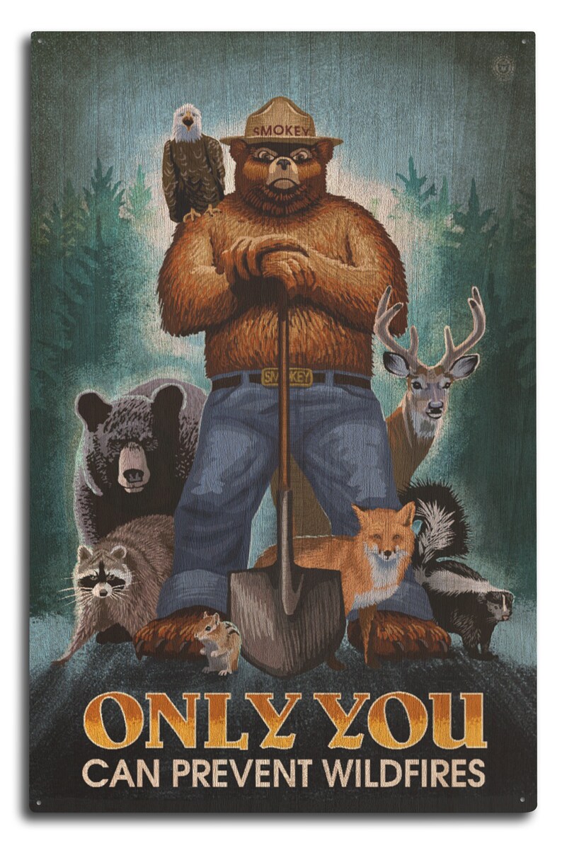 Smokey Bear Only You Can Prevent Wildfires 6 Sizes Art | Etsy