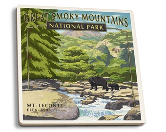 Coaster Set, Great Smoky Mountains National Park, Tennessee, Leconte Creek & Mt. Leconte, Cork Back, Absorbent Ceramic, Unique Matching Art