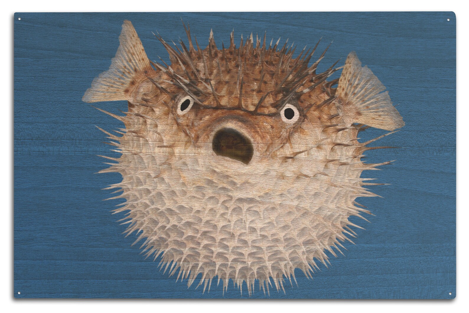 Blowfish 6 Sizes Art Prints Giclees Posters Wood & Metal Etsy