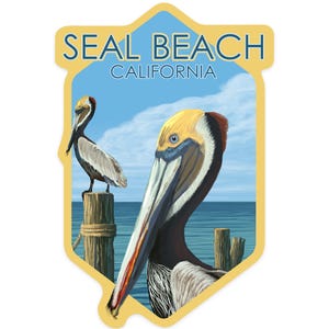Sticker,  Seal Beach, California, Brown Pelican, Contour , Vinyl Die Cut, Waterproof Outdoor Use