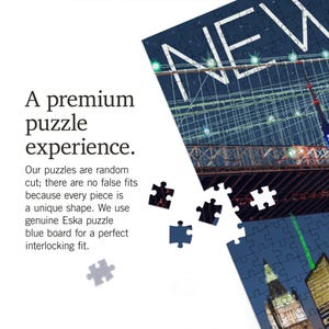 Puzzle, New York, Skyline at Night, 1000 Pieces, Unique Jigsaw, Family ...