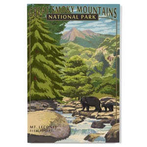 Bosque de abedules, Parque Nacional de las Grandes Montañas Humeantes, Tennessee, Leconte Creek y Monte Leconte, Letrero o postales sostenibles, Arte listo para colgar