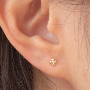 May include: A close-up of a person's ear with a small, gold-colored clover stud earring. The earring is a four-leaf clover design. The person has dark brown hair.