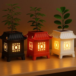 May include: Three decorative lantern-shaped planters in black, red, and white, each with a small plant. The lanterns have a traditional Asian design with illuminated square windows. The planters sit on a wooden surface.