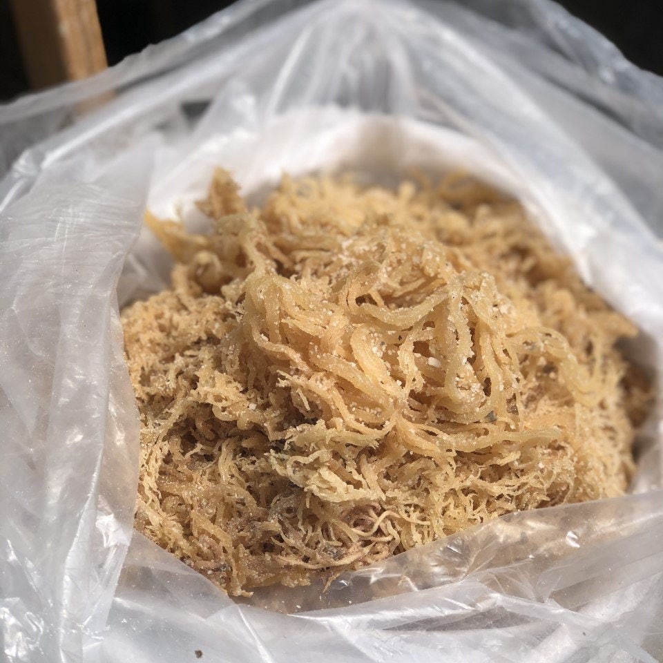 4lb wholesale raw sea moss irish moss organic seamoss Etsy