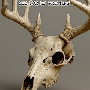 May include: A detailed image of a deer skull with large antlers. The skull is off-white with visible cracks and imperfections, set against a grey backdrop. The text "ARTISAN DESIGN WORKS STL FOR 3D PRINTING" is at the top.