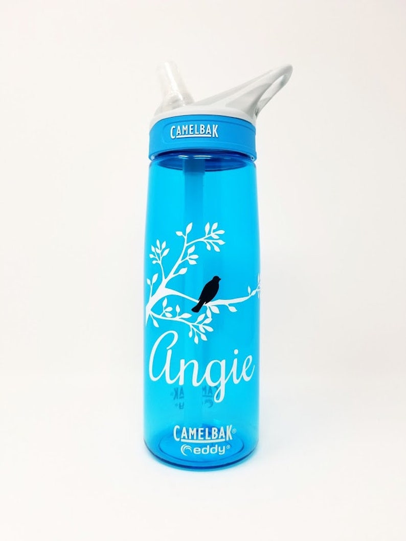 camelbak shark water bottle
