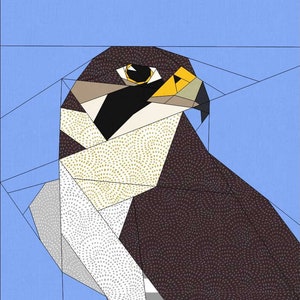 Blocco trapuntato in carta Peregrine Foundation, modello FPP, animali, fauna selvatica, modello trapuntatura