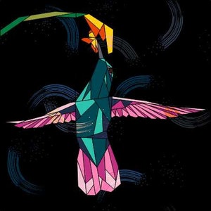 Könnte beinhalten: Ein geometrischer Kolibri mit türkisfarbenen, rosafarbenen und gelben Akzenten vor einem schwarzen Hintergrund mit weißen Wirbeln.