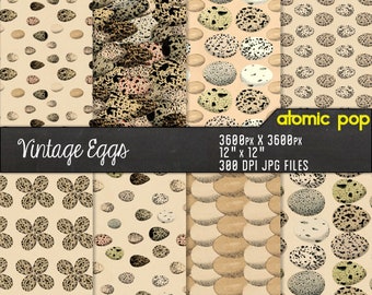 Instant Download // Vintage Ostrich Eggs Antique Texture Pattern Wallpaper Digital Paper Pack // Decoupage // Scrapbooking