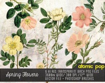 Instant Download // Springtime Flowers// Vintage Pink and White Graphic Design Vector, Decoupage PNG FIles, Photoshop Brushes Clipart