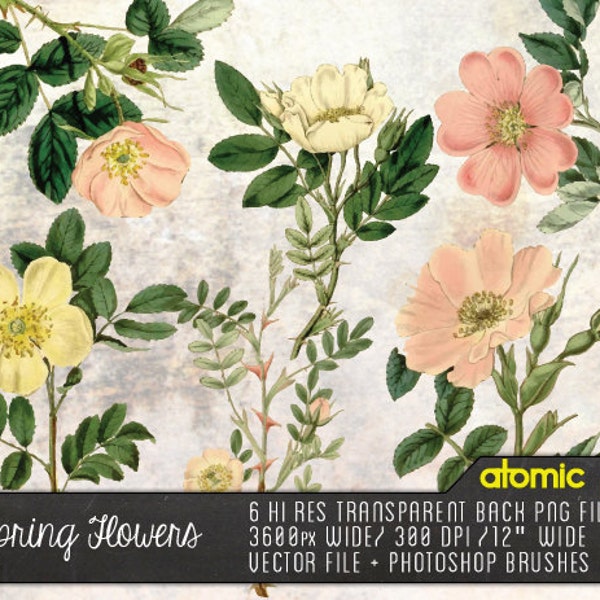 Instant Download // Springtime Flowers// Vintage Pink and White Graphic Design Vector, Decoupage PNG FIles, Photoshop Brushes Clipart