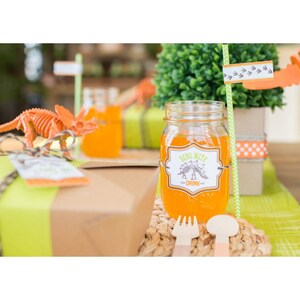 Dinosaur Excavation Dig Birthday - Printable Customized Package