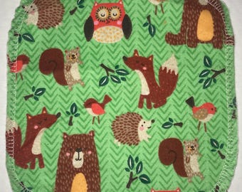 Animales del bosque verde se limpian