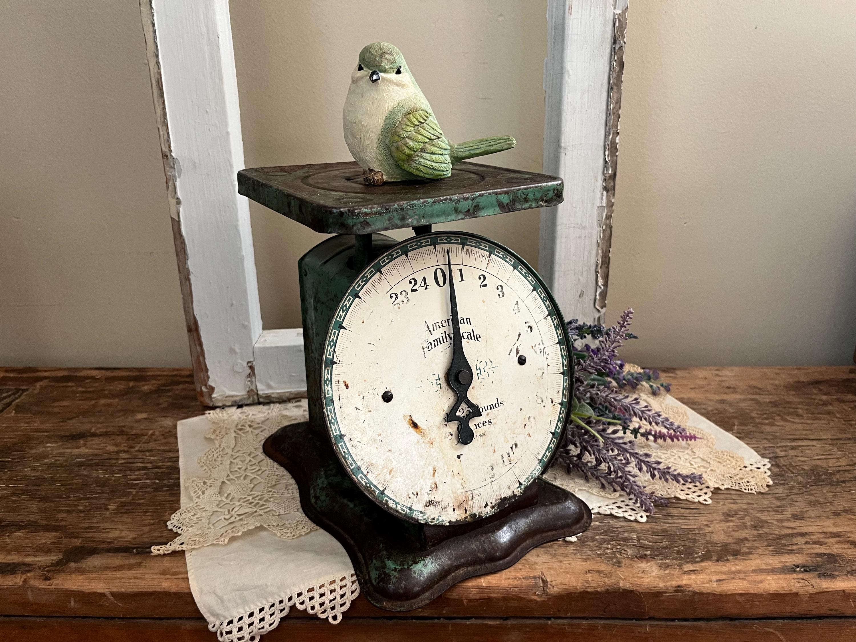 American Family Scale - Etsy