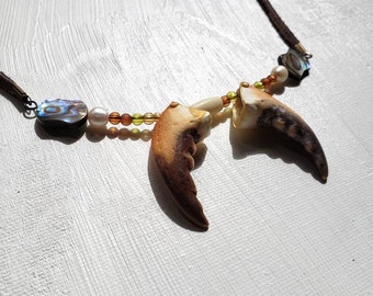 Crab Claw & Abalone Necklace (HHH)