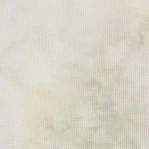 May include: A close-up of a white canvas fabric with a subtle woven texture.