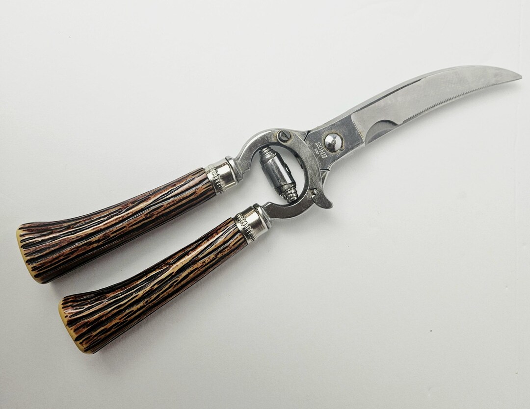 Mid Century Vintage Italian Stainless Steel Poultry Shears Rome Italy ...