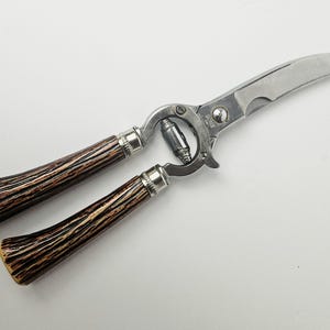 Mid Century Vintage Italian Stainless Steel Poultry Shears Rome Italy Kitchen Tools