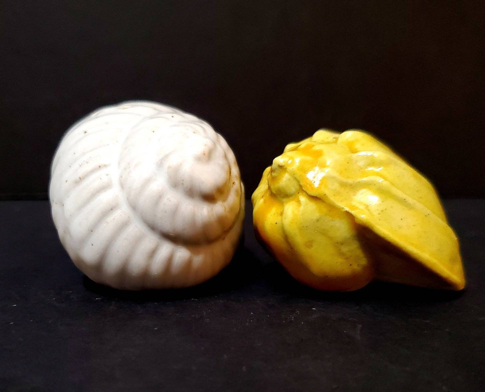 Handcrafted Seashell Salt & Pepper Shaker (Set of 2) main image 1