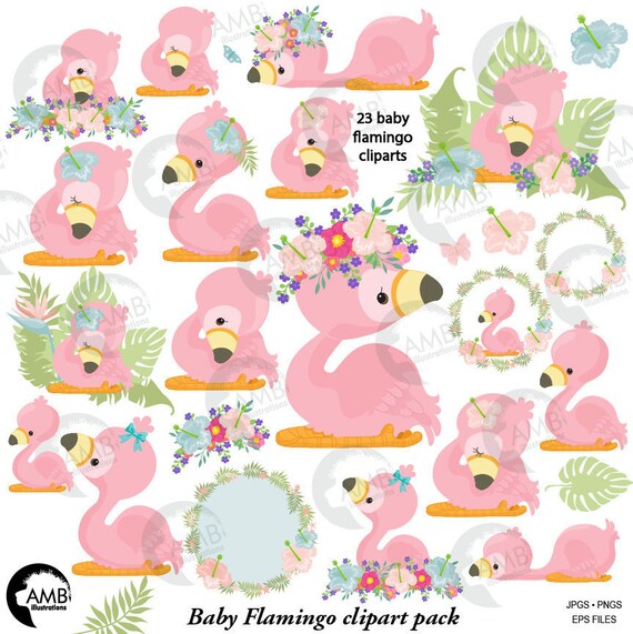 Flamingo clipart, Cute flamingo clipart, baby flamingo clipart, floral clipart, AMB-2470 Il_570xn