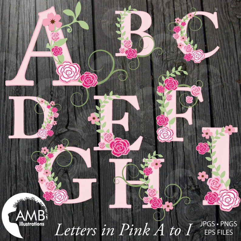 TRIO Floral Alphabet clipart Pack Letters A to Z Shabby Chic Wedding Pink Roses Letters Amb-1624 commercial use Floral clipart