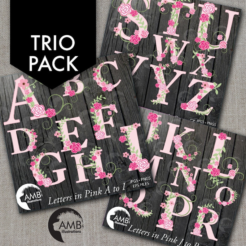 TRIO Floral Alphabet clipart Pack Letters A to Z Shabby Chic Wedding Pink Roses Letters Amb-1624 commercial use Floral clipart
