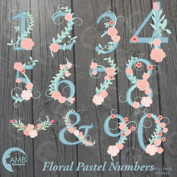 Floral Numbers Clipart Teal Numbers Clipart Pink and Etsy