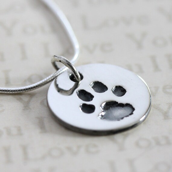 best raw cat food delivery