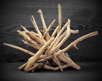 Bleached Driftwood Sculpture - Organic Coastal Home Decor