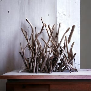 Abstract Driftwood Sculpture - Versatile Home Decor, Customizable Colors, Wood Sculpture, Driftwood Art, Driftwood Decor, Wood Art