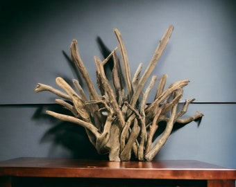 Abstract Driftwood Sculpture, Beach Decor, Table Mantle Art