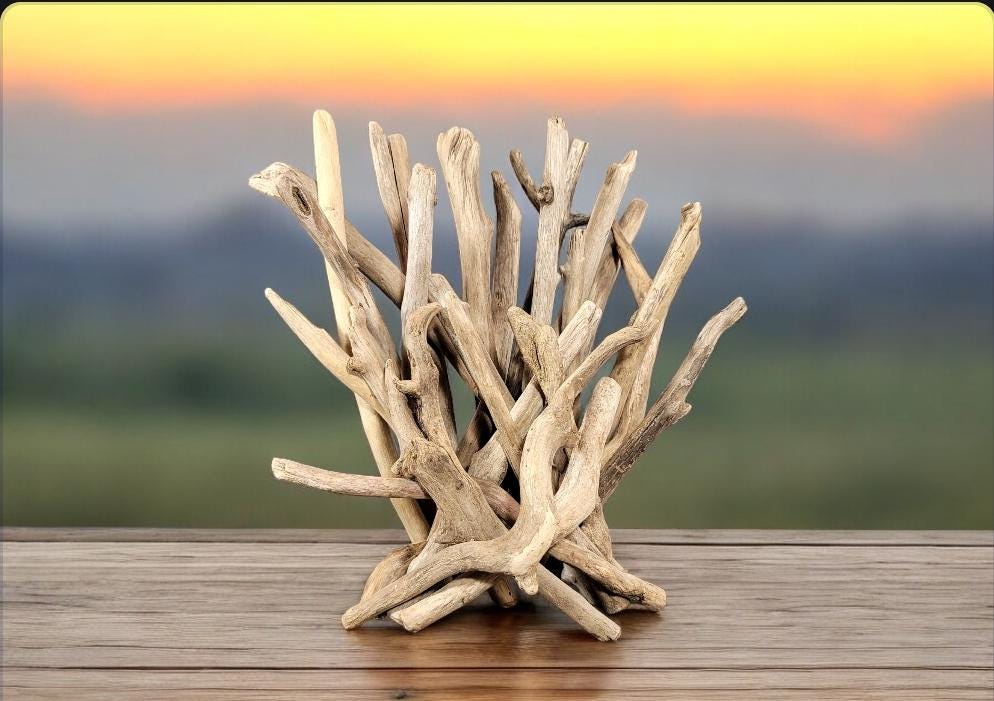 Small Abstract Driftwood Sculpture - Versatile Home Decor