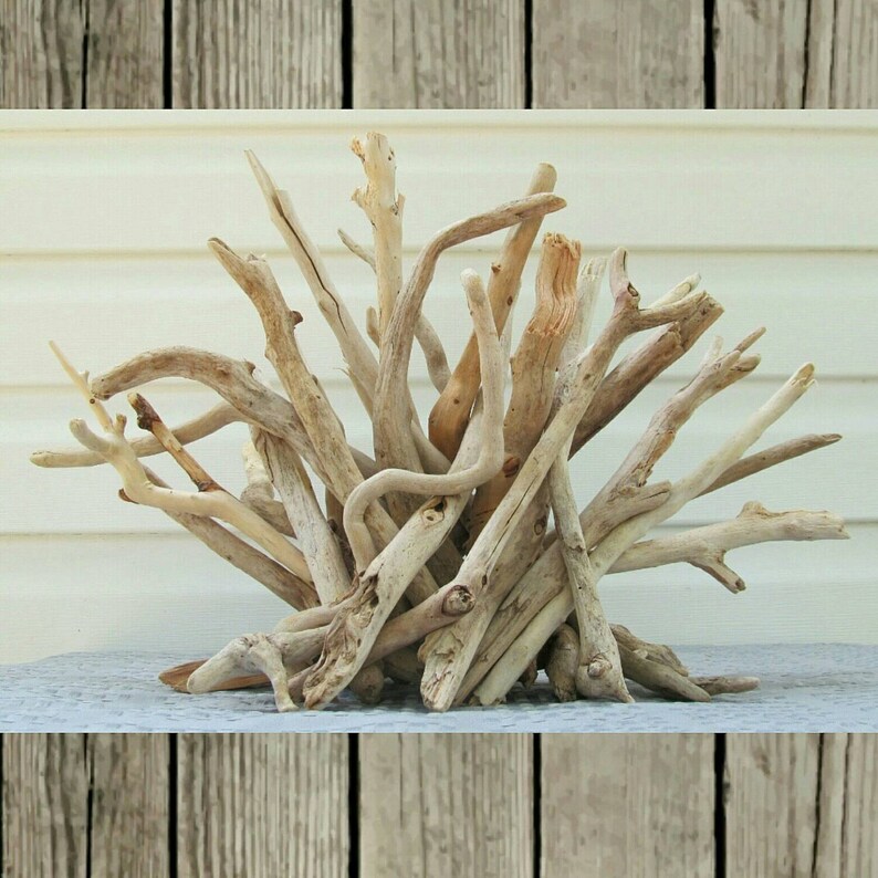 Driftwood Sculpture Driftwood Table Decor Driftwood Table Etsy