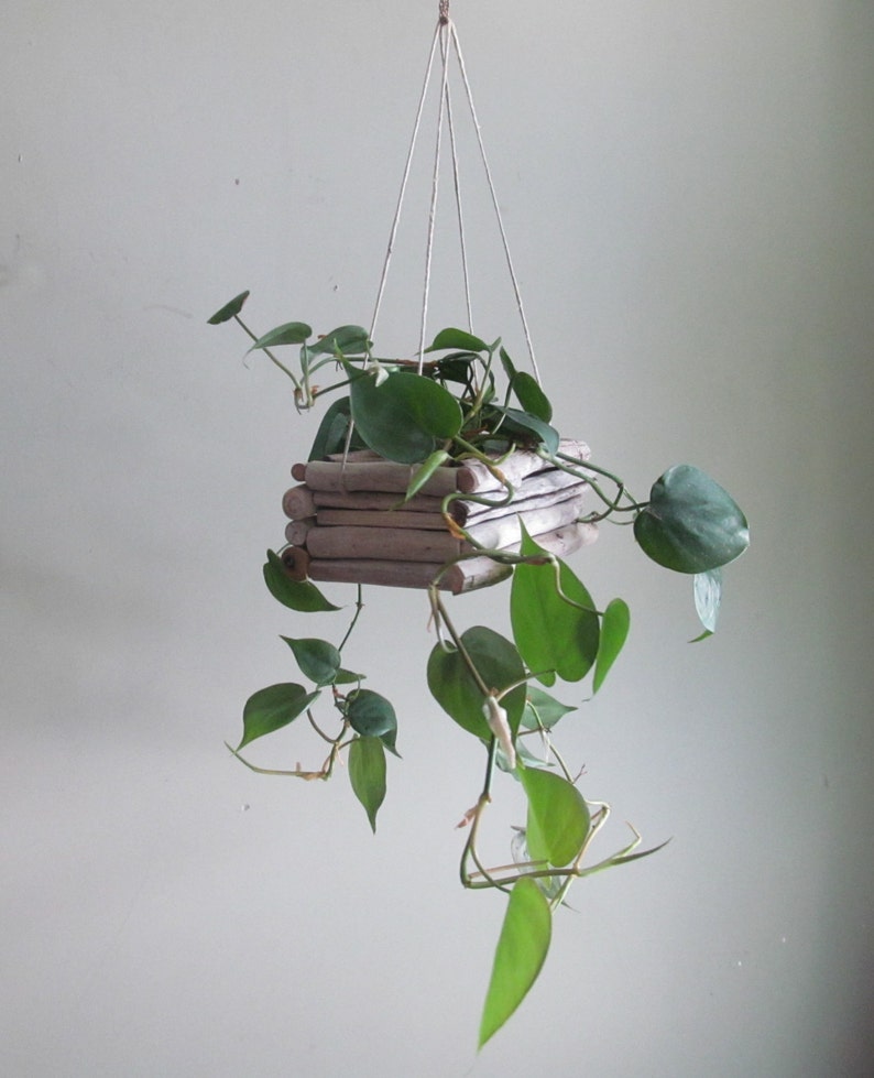 Driftwood Hanging Planter Rectangular Hanging Planter Etsy